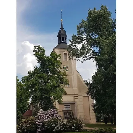 Sonnentau * Burg (Spreewald)
