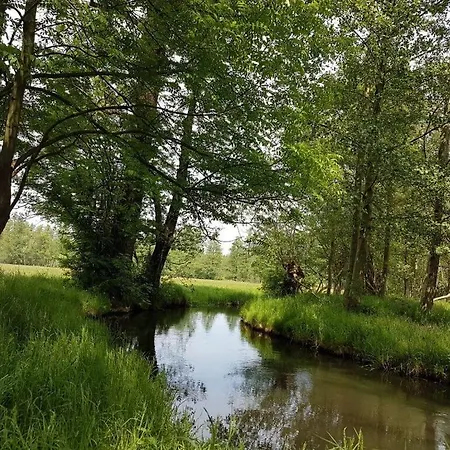 Sonnentau Hébergement de vacances *