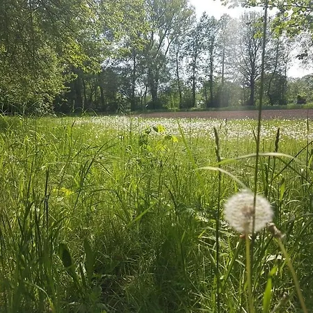 Hébergement de vacances Sonnentau *